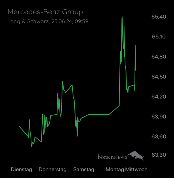 Wespen Mercedes-Benz Group