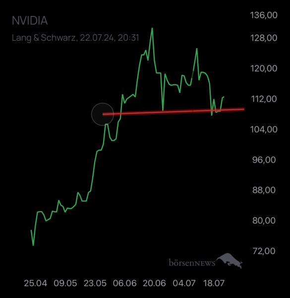 Holzauge1923 NVIDIA