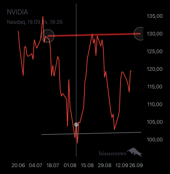 Holzauge1923 NVIDIA