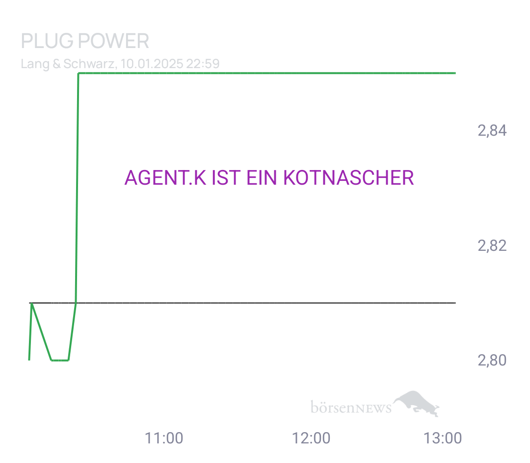 Käseraspel PLUG POWER