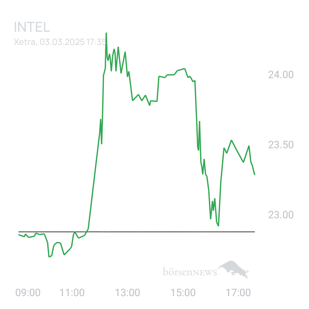 Sicher1 INTEL