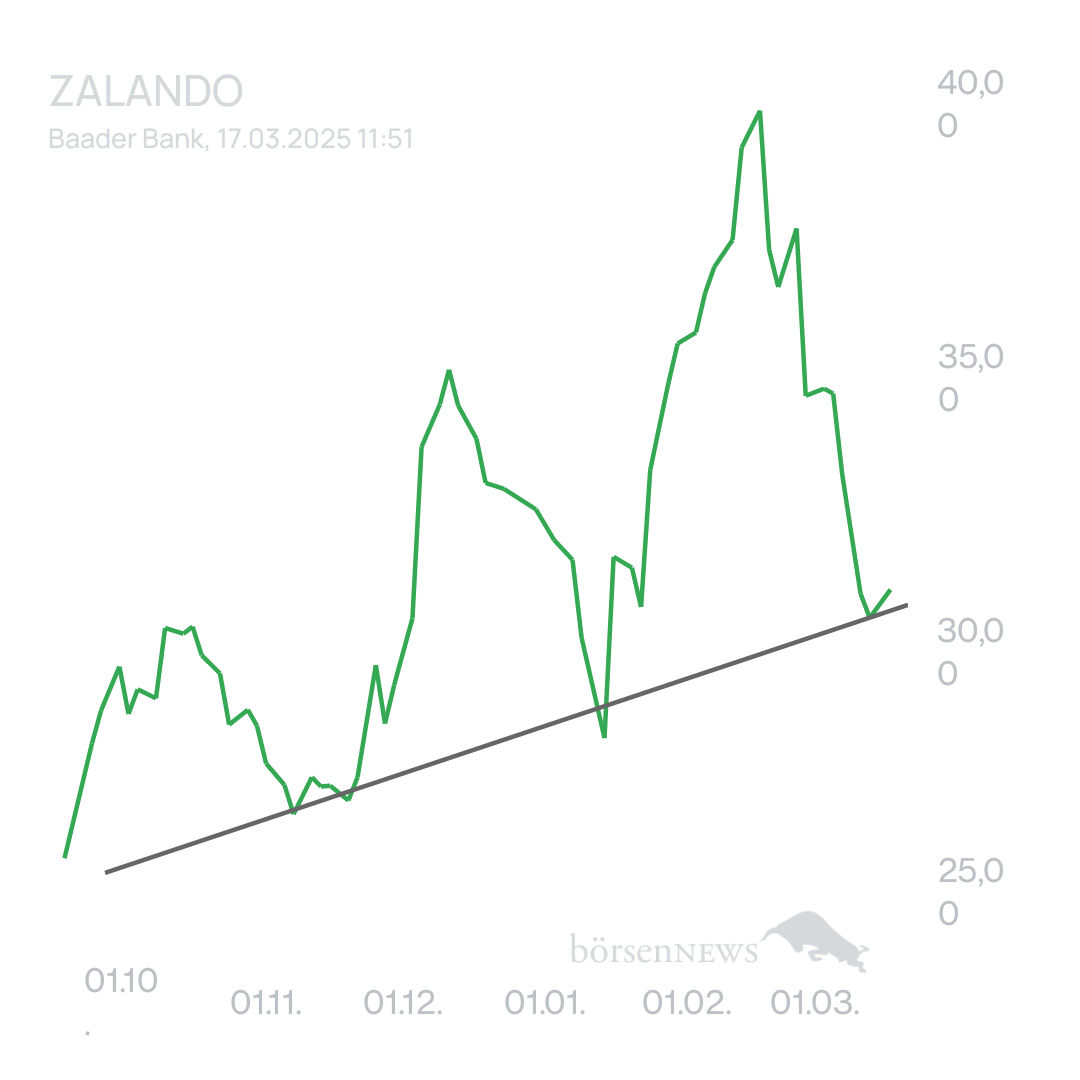 Arpino ZALANDO
