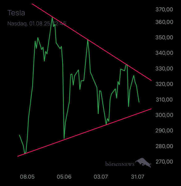 Local_Void TESLA MOTORS