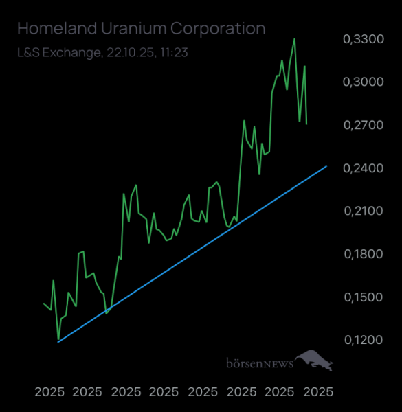 Baddi1980 Homeland Diskussion 