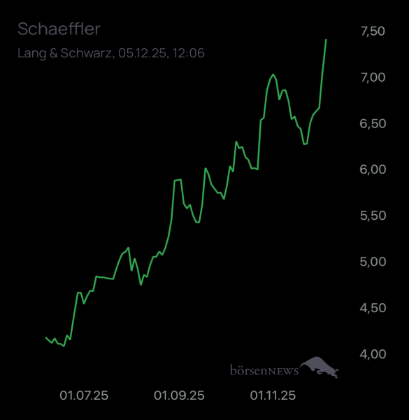 Wespen Schaeffler namensaktien