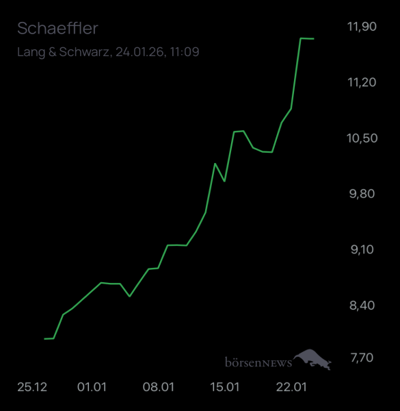 Wespen Schaeffler namensaktien