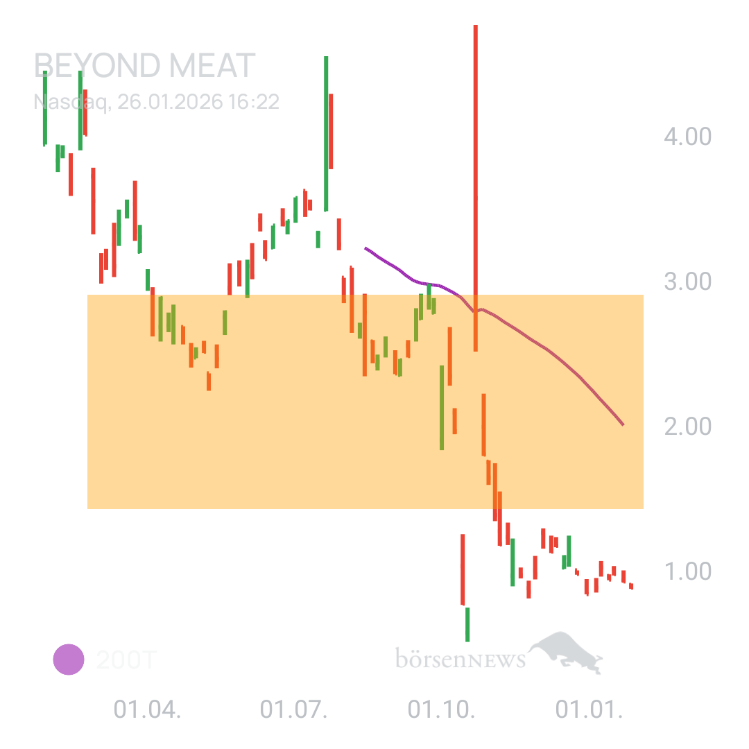 Sicher1 Beyond Meat