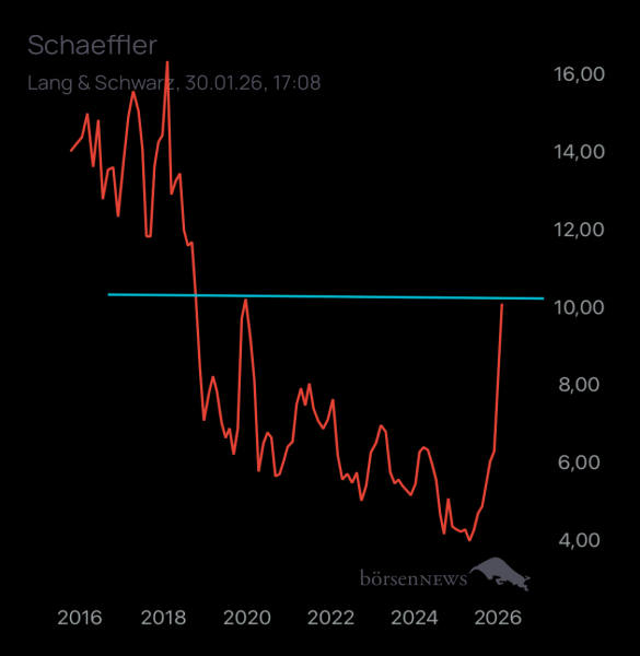Wespen Schaeffler namensaktien