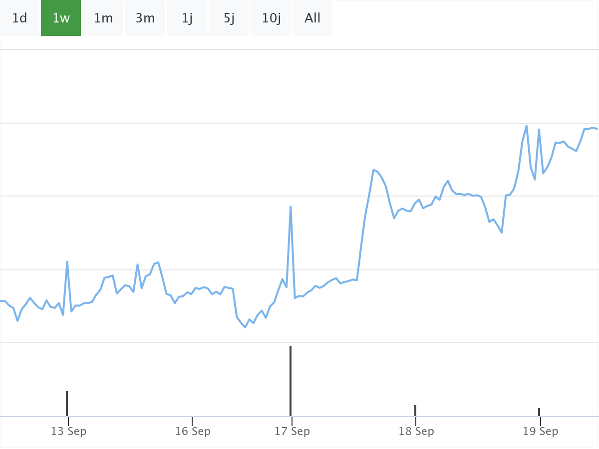 B&ouml;rsenNews-Team