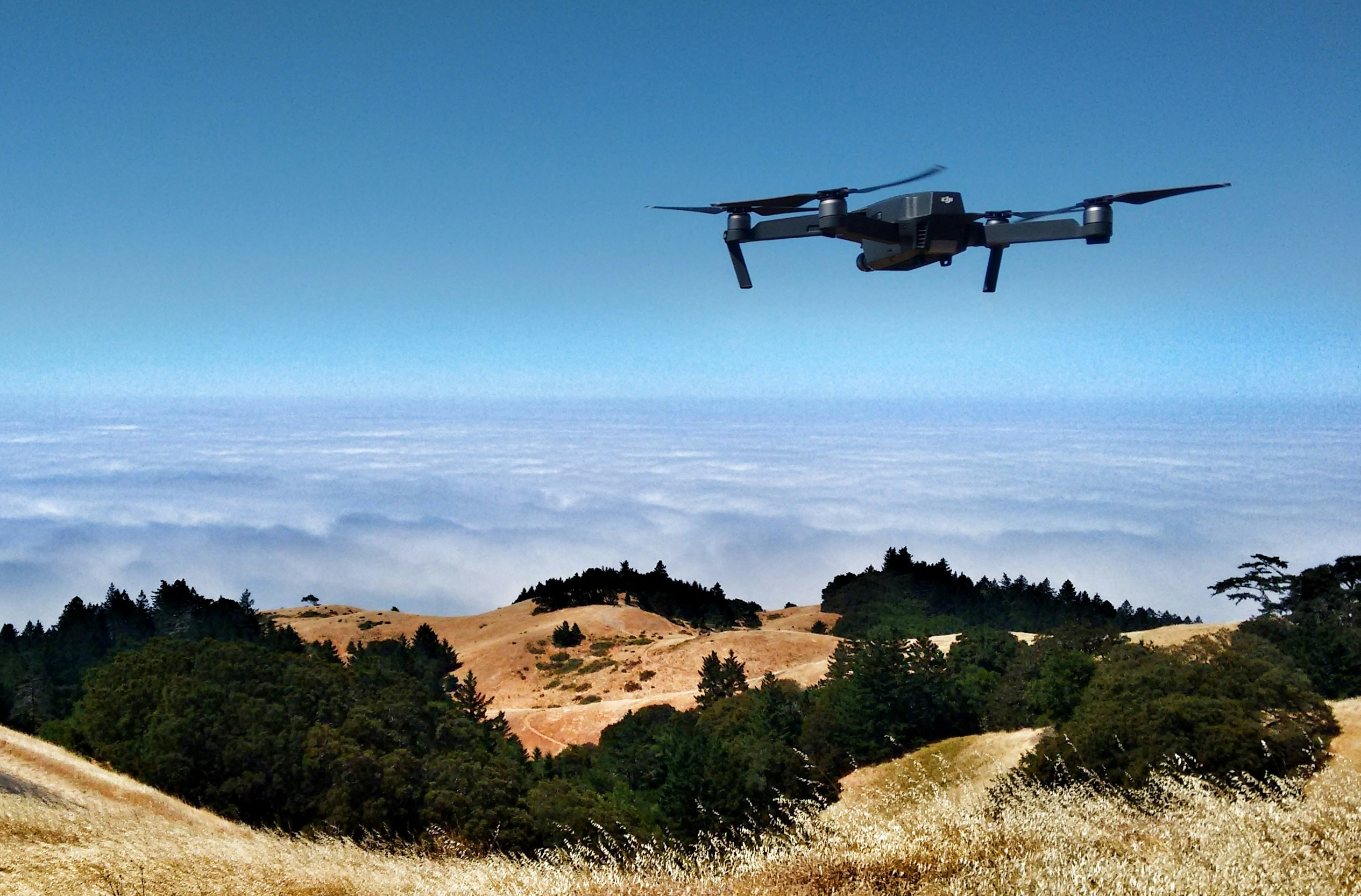 Droneshild Aktienchart